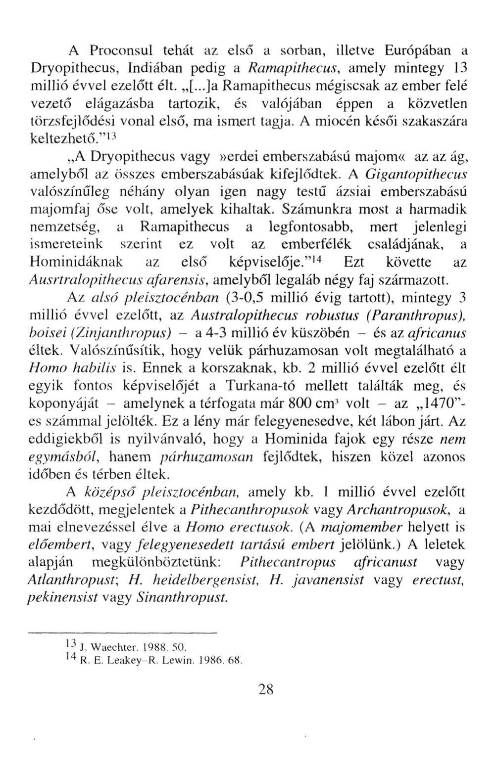 A Proconsul tehát az első a sorban, illetve Európában a Dryopithecus, Indiában pedig a Ramapithecus, amely mintegy 13 millió évvel ezelőtt élt. [.