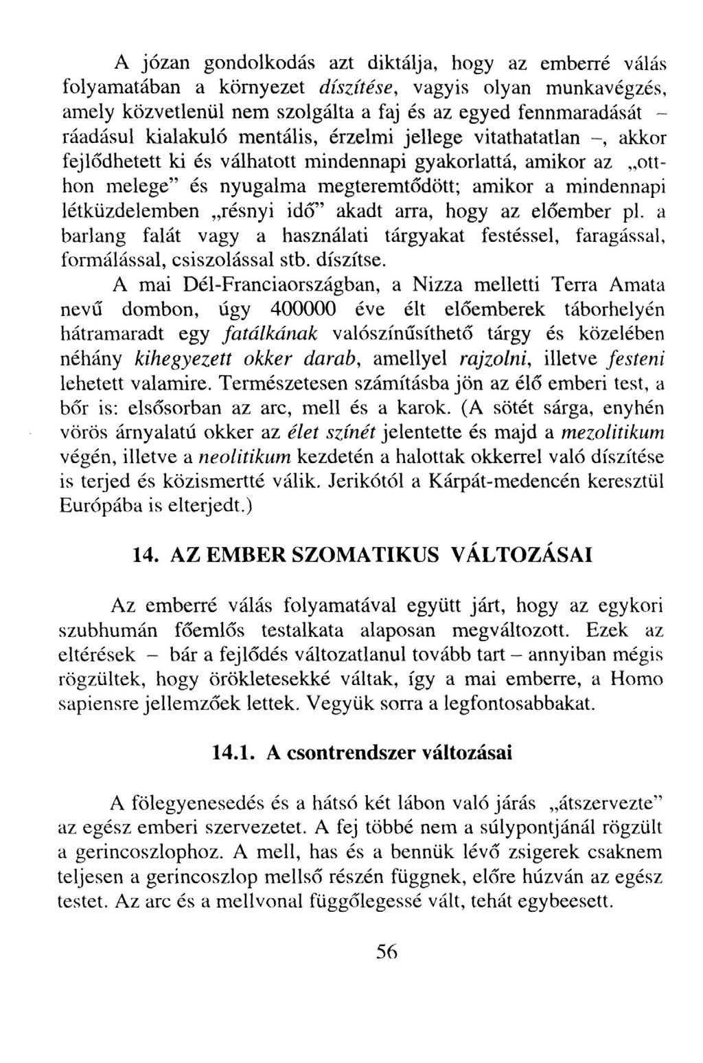 A józan gondolkodás azt diktálja, hogy az emberré válás folyamatában a környezet díszítése, vagyis olyan munkavégzés, amely közvetlenül nem szolgálta a faj és az egyed fennmaradását - ráadásul