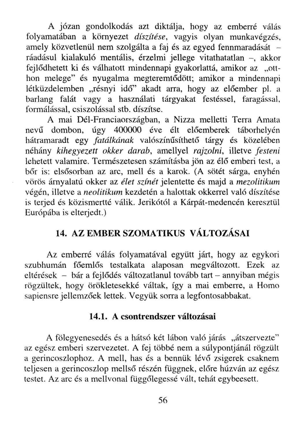 A józan gondolkodás azt diktálja, hogy az emberré válás folyamatában a környezet díszítése, vagyis olyan munkavégzés, amely közvetlenül nem szolgálta a faj és az egyed fennmaradását - ráadásul