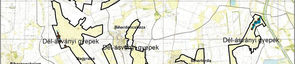 3.4. Lepkefajok nagy