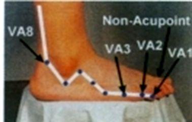 V/2. A kísérlet 1.