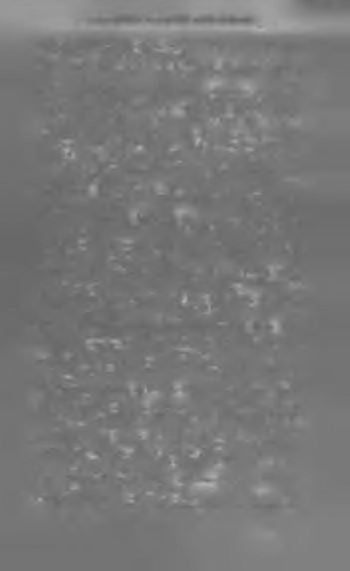 J é z u s S z e n ts é g e s S z iv é n e k H ír n ö k e. (K alocsa.) Szerk.-kiadó T ó th M ike. X X I X. évf. H a v o n k é n t; ára 1 frt 50 kr. A K a t h. H it t e r je s z t é s l a p j a.