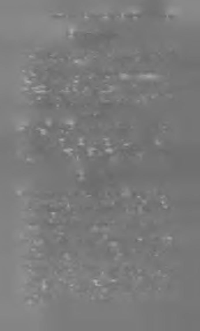 M a g y a r h í r l a p o k é s FO LYÓ IRATOK 1 8 9 5. 1 3 7 1) G y o r s ir á s s a t i la p o k. Budapesten. G y o r s ír ó. Szerk. V a rg ay I s tv á n ; kiadja a bpesti V II. kér. áll. főgym.