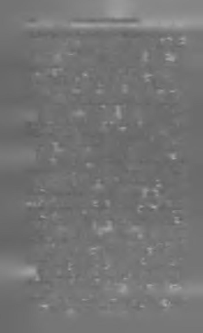 14 Ma Ö Y a r K ö n y v j e g y z é k 1 8 9 4. C s a lá d i k ö n y v t á r. L X X X V I I I. kötet. S z á s z K ároly kiseb b m ű fordításai. Ném et, francia, angol s vegyes költőkből. (246 lap.
