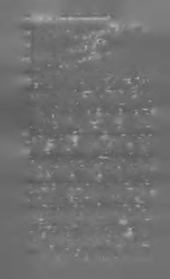 2 8 Ma g y a r K ö n y v j e g y z é k 1 8 9 4. Gaal Mózes. B oth bajnok árvája. L d. : Hazafias könyviár. 11. A kereszténység hőse. L d. : Hazafias könyvtár. 12. A prágai rab. L d. : Hazafias könyvtár. 13.