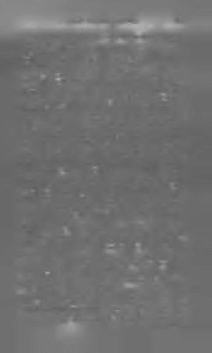 m a g y a r k ö n y v j e g y z é k 1 8 9 4. 8 3 számára. T izen ö tö d ik kiadás. (8-r. 94 lap.) B udapest, 1894. Franklin-Társulat. K ö tv e 2 5 k n Szász Károly. K isebb műfordításai. L d.