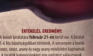 Az ösztöndíj teljes összege 100 000 forint, melyet a tanév tíz hónapja során havi 10 000 forintos átutalás formájában kap meg a nyertes diák.