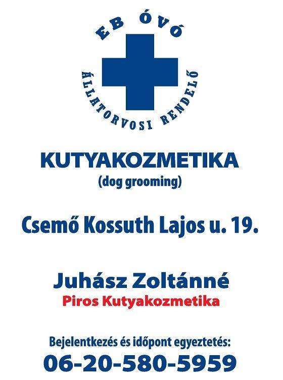 nem dönthetõ fák gallyazása, kivágása alpin technológiával. Egyéb fák, facsoportok ritkítása, kivágása.