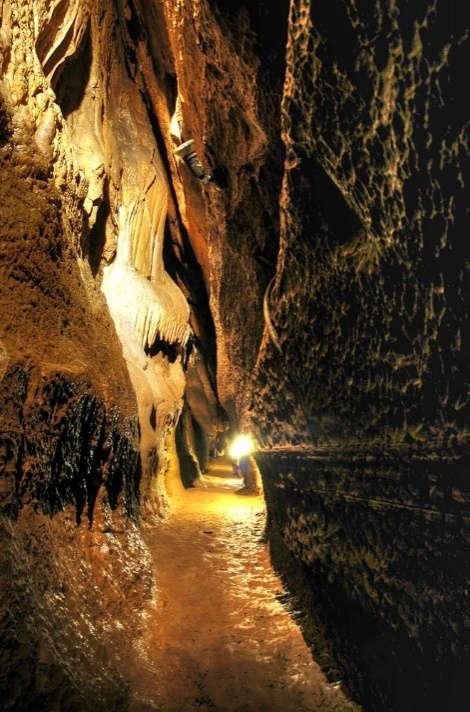 A Vass Imre-barlang rendszerében öt terasz-szint alakult ki. Járatainak ismert hossza 1000 m, függőleges kiterjedése 42 m, a maximális vízszintes kiterjedése pedig 422 m.