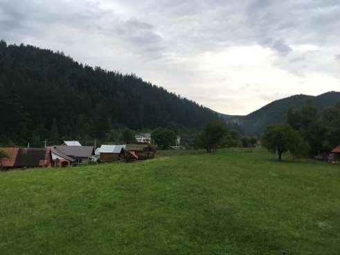 Bukovinai