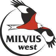Károly  Milvus