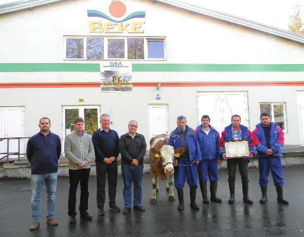 13 év ikerellés ikerborjú halva született borjak össz. 013 3,%,9% 5,7% egyes 3,4% iker 33,3% össz. 94,3% választott borjak aránya elhullott borjak élve született borjak egyes 17,0% iker 1,% össz.