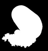 csülök vf.