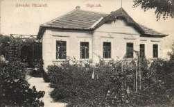 üzlet. Földes A.