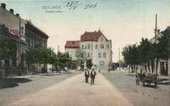 Szolnok, mozaik lap: Fa-