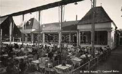 Buziás, Sóhaj fas or híddal,