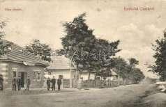 Berzevice, Brezo vica nad