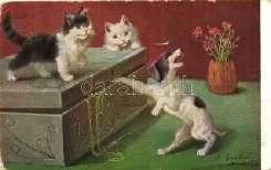 Cats stealing fro m the