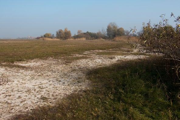 2018. JÚLIUS 11. OLDAL A Nagykáta és Farmos határán elterülő 350 hektáros természetvédelmi terület az ősi, zavartalan állapotot tükrözi. Növényfajai ritkaságszámba mennek az Alföldön.