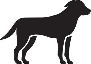 A KÜLSŐ CSOMAGOLÁSON FELTÜNTETENDŐ ADATOK KARTON DOBOZ 1.