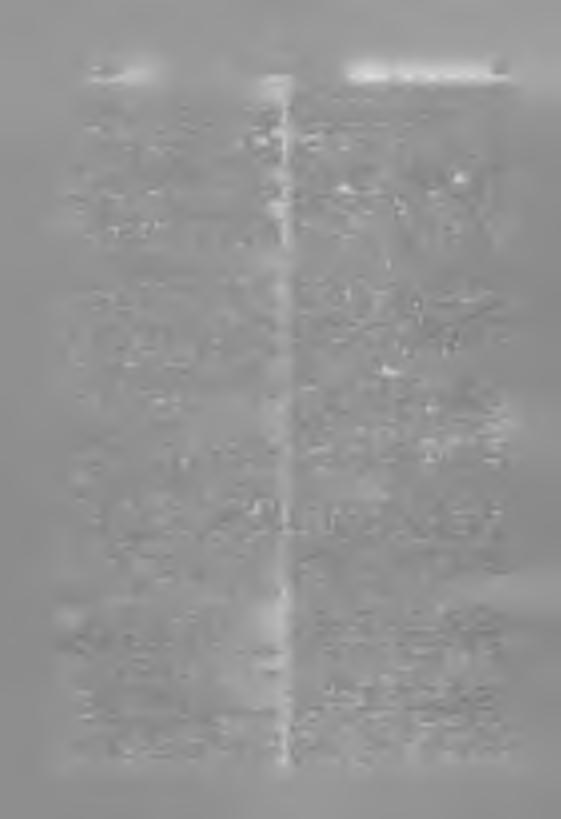 - 266-1976. június 7. AKADÉM IAI KÖZLÖNY 10