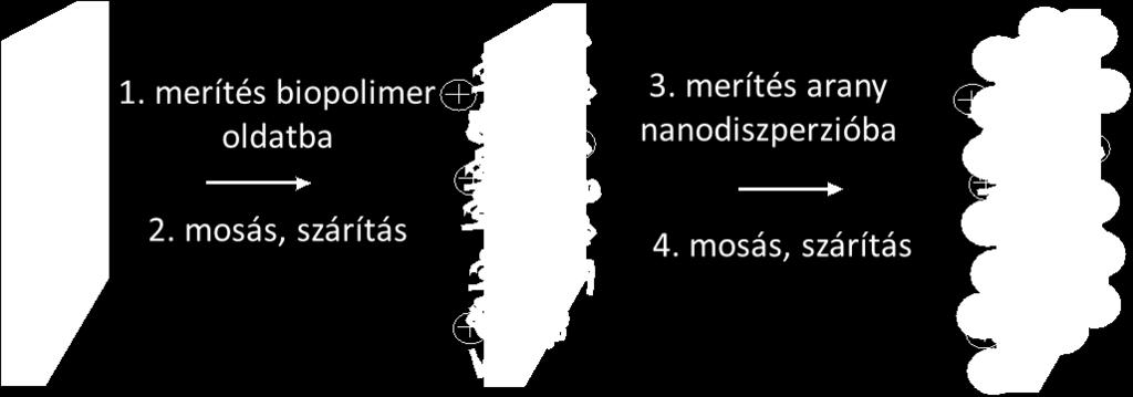 Filmépítés LbL módszerrel Az üveglemezt filmkészítés előtt tisztítottam, és szárítottam.
