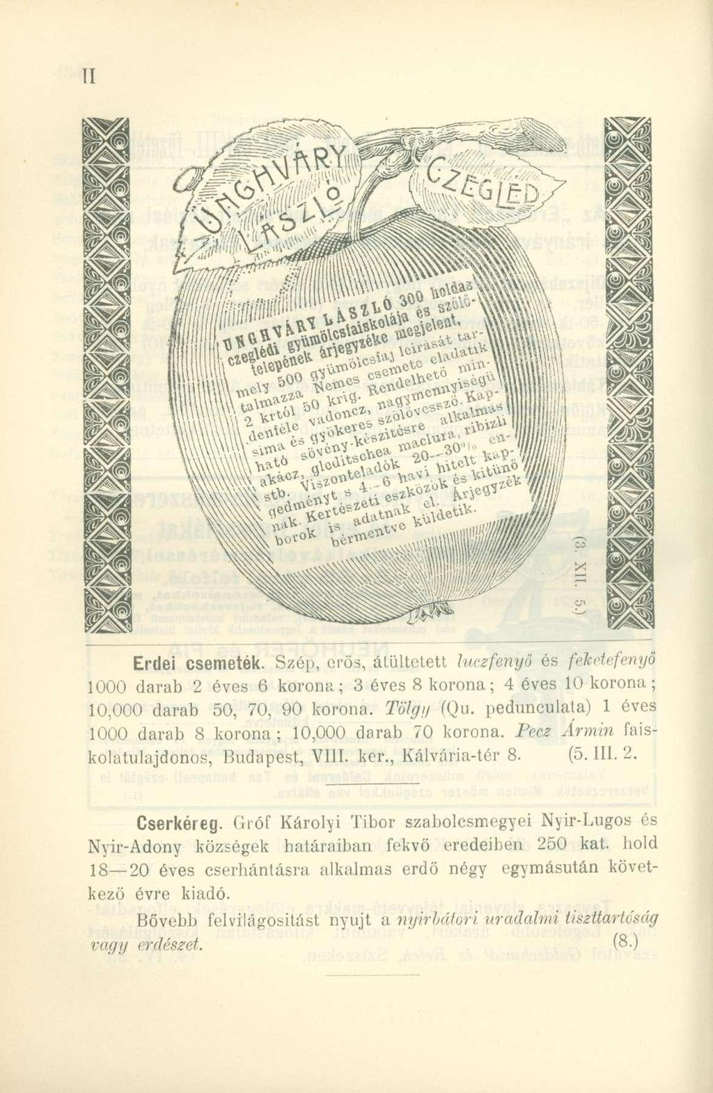 Erdei csemeték. Szép, erős, átültetett luczfenyö és féketefenyő 1000 darab 2 éves 6 korona; 3 éves 8 korona; 4 éves 10 korona; 10,000 darab 50, 70, 90 korona. Tölgy (Qu.