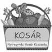 Jó gyakorlat: Nyíregyházi Kosár Bevásárló Közösség Zalatnay László szervezetfejlesztő, társadalmi vállalkozó 2017.