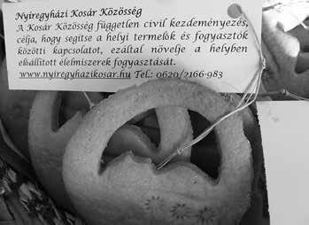 Kulturális Kreatív találkozókat szerveztek különböző témák átbeszélése, megismerése érdekében (pl. helyi pénz kialakítása).