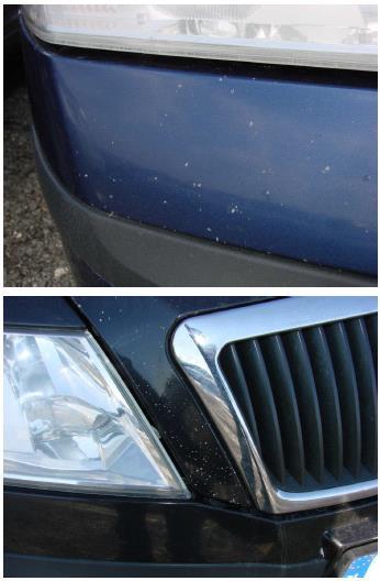 Karosszéria / Festés / A gépjármű felszínének sérülései A gépjármű festésén keletkezett sérülések