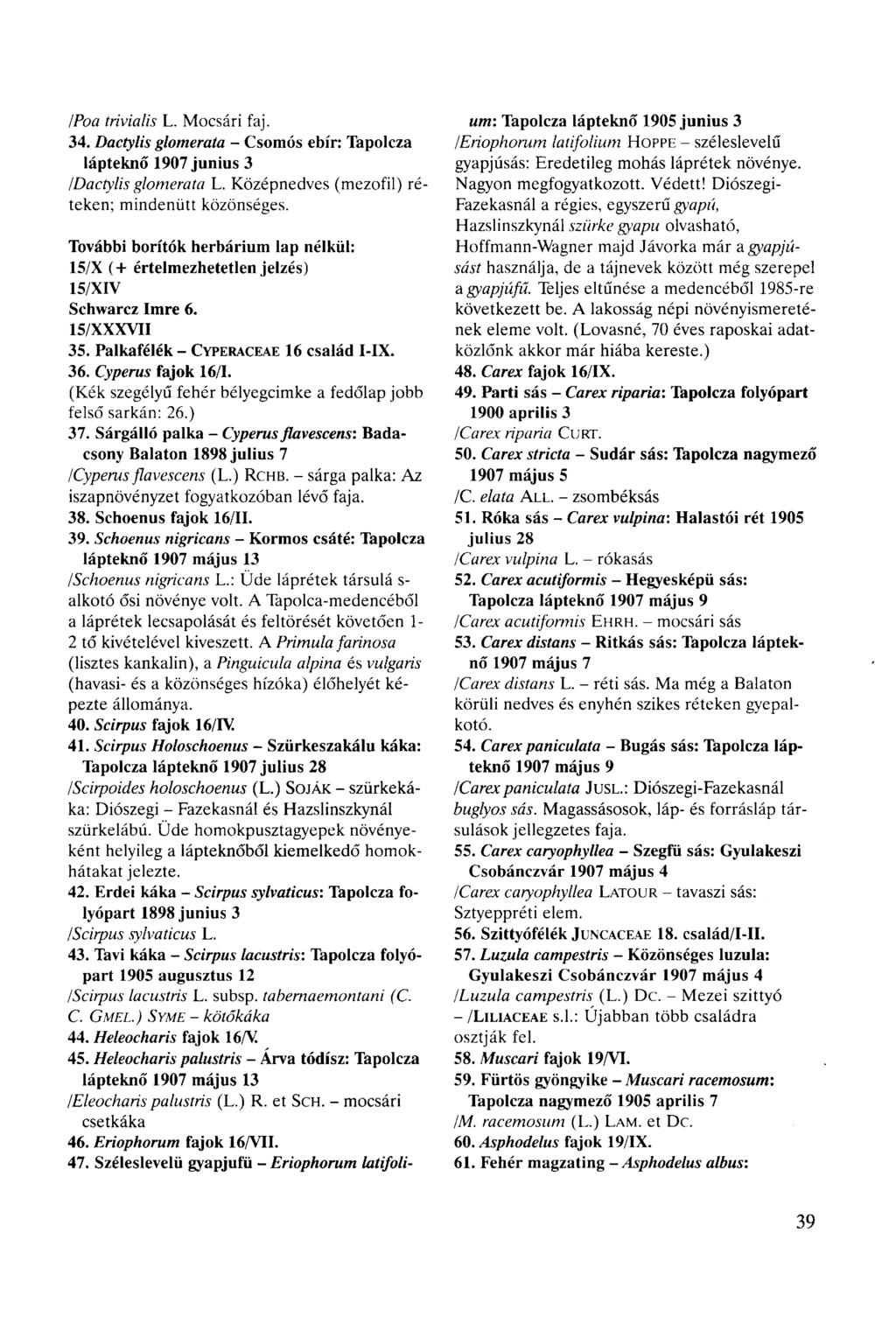 IPoa triviális L. Mocsári faj. 34. Dactylis glomerata - Csomós ebír: Tapolcza lápteknő 1907 június 3 /Dactylis glomerata L. Középnedves (mezofil) réteken; mindenütt közönséges.