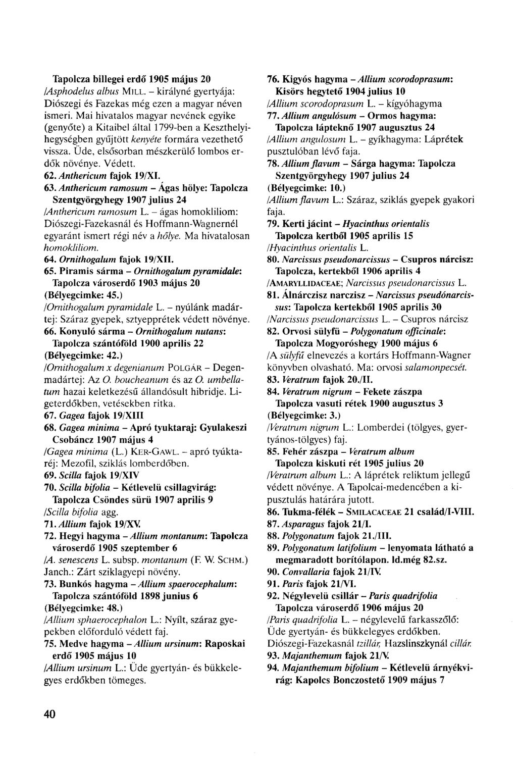 Tapolcza biliegei erdő 1905 május 20 /Asphodelus albus MILL. - királyné gyertyája: Diószegi és Fazekas még ezen a magyar néven ismeri.
