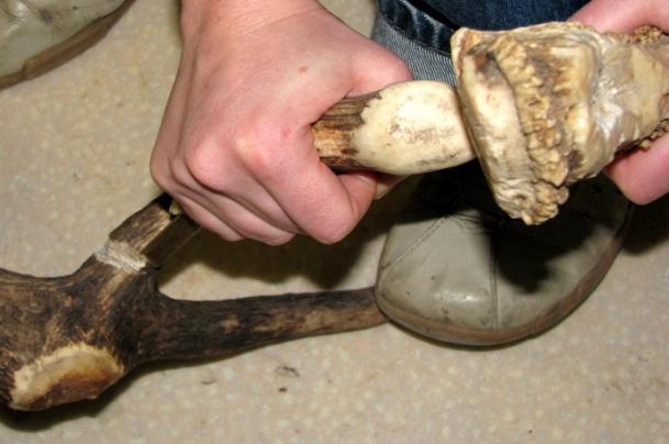 230 Vázlatos összegzés: (áztatott agancs forgácsolása közvetlen ütéssel) Segédeszközök: csiszolt kőbalta Erő: közepes Ismertetőjegyek: téglalap alakú, csíkozott, mély távozó forgácsok forgácsolt