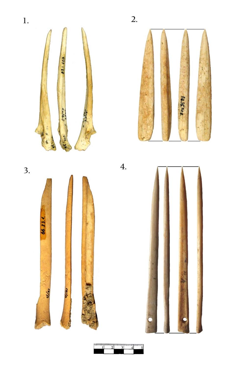 Függelék 343 15. KÉP: VÉSŐK: 1) LTSZ.: 88.1.609.; 3) LTSZ.: 66.23.1.; MASSZÍV NAGYPATÁS EPIFÍZIS NÉLKÜLI ÁR: 2) LTSZ.