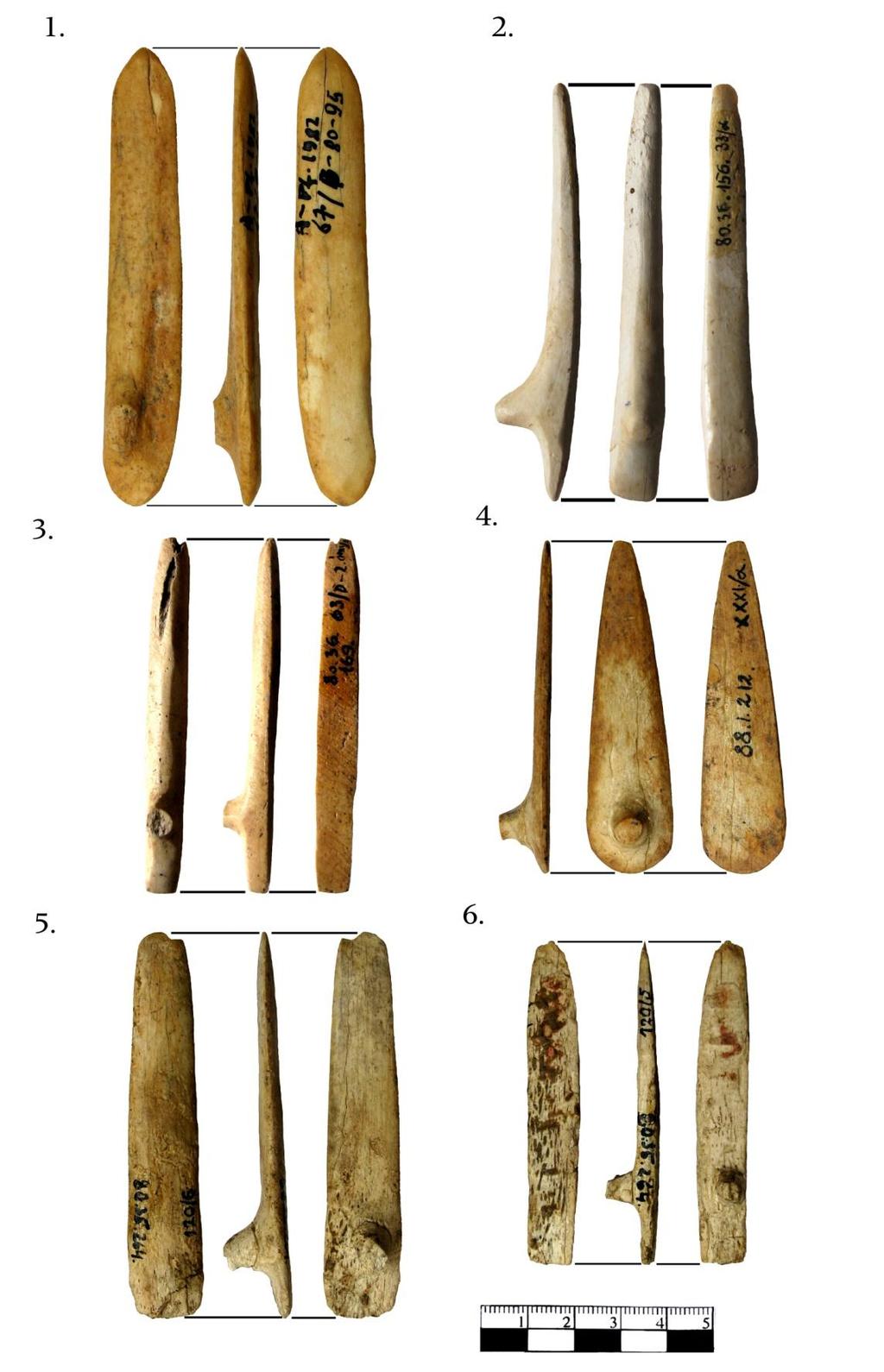 352 24. KÉP: GOMBOS CSISZOLÓCSONTOK : 1) LTSZ.: 2011.1.88.; 2) LTSZ.: 80.36.156.