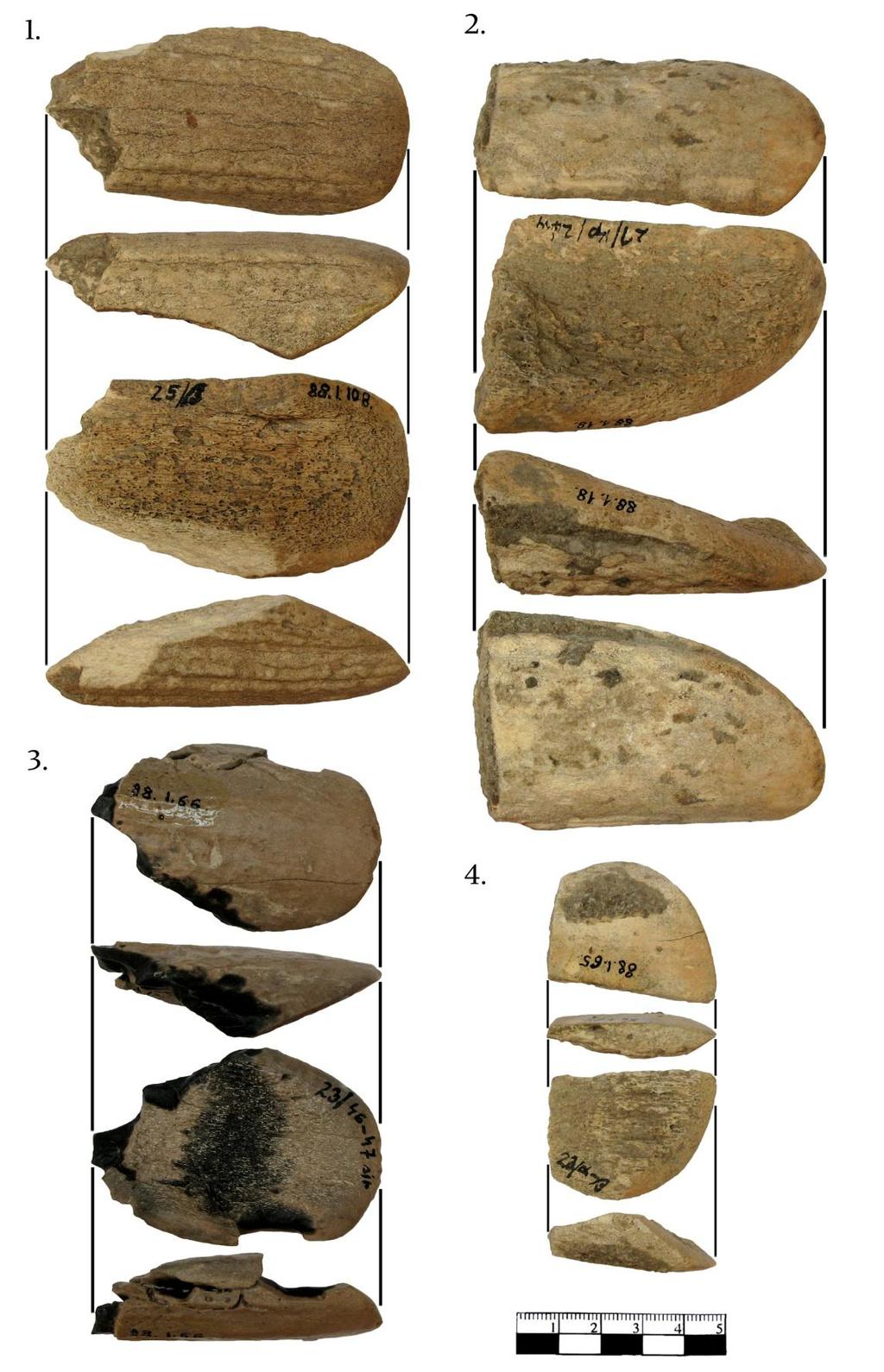 Függelék 373 45. KÉP: T-BALTÁK TÖREDÉKEI. AKTÍV ÉL. 1) LTSZ.: 88.