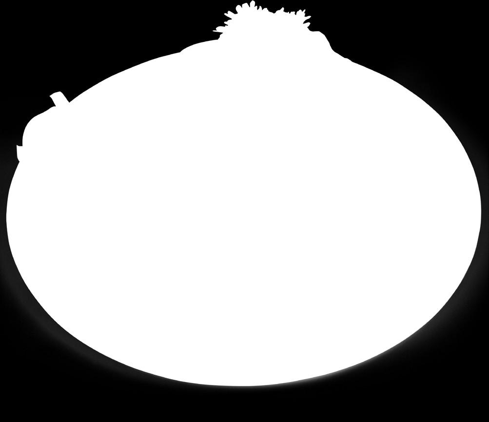 g, 570 kg hűtött