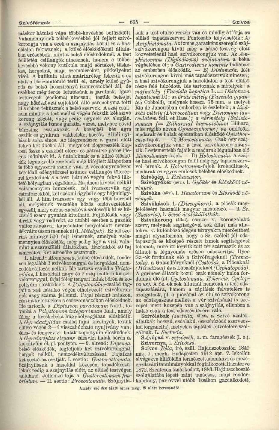 Szívóférgek 665 Szívós; máskor hátulsó vége többé-kevésbbé befűződött.