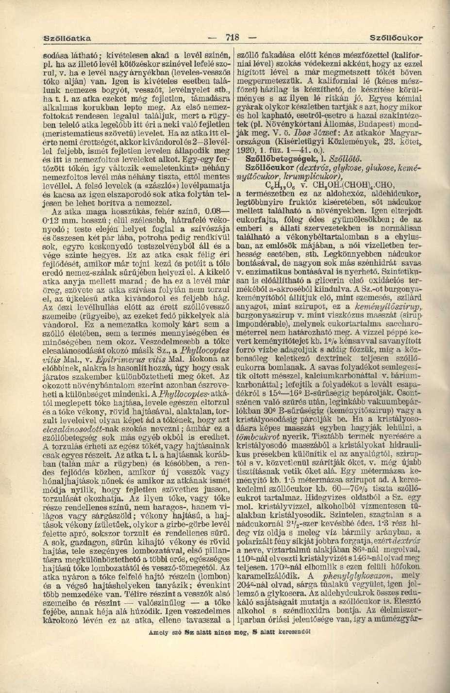 Szőllőatka 718 Szöllöcukor eodása látható; kivételesen akad a levél színén, pl. ha az illető levél kötözéskor színével lefelé szorul, v. ha e levél nagy árnyékban (leveles-vesszős tőke alján) van.