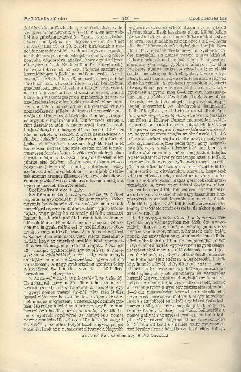 "Szőllőművelő eke 720 Szőllönemesítés _Á bábozódás a fészkekboa, a kötések alatt, a levelek redőiben történik. A 8 10 nmi.-es hernyókból kia gubóban nyugvó 5 7 mm.