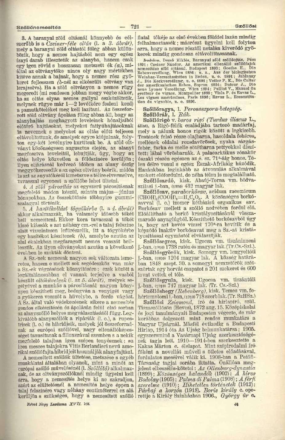 Szöllőnemesftés 721 SzCIISsI 3. A baranyai zöld oltásnál könnyebb és célszerűbb is a Czeiner-féle oltás (1. a 3.