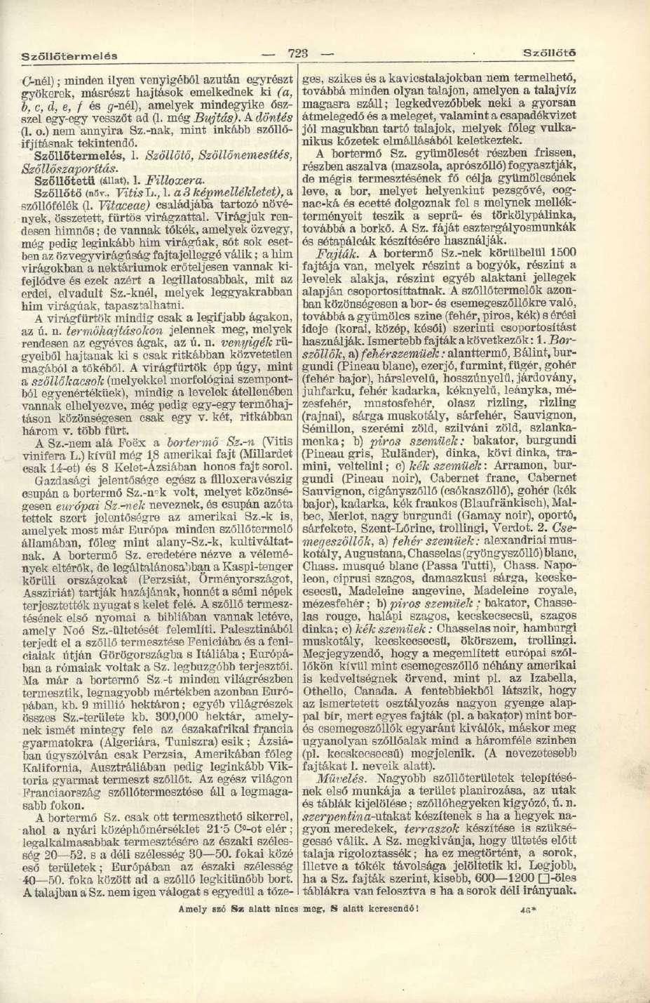 Szöllötermelés 723 Szőllötö C-nél); minden ilyen venyigéből azután egyrészt gyökerek, másrészt hajtások emelkednek ki (a, b, c, d, e, f és 17-nel), amelyek mindegyike őszszel egy-egy vesszőt ad (1.