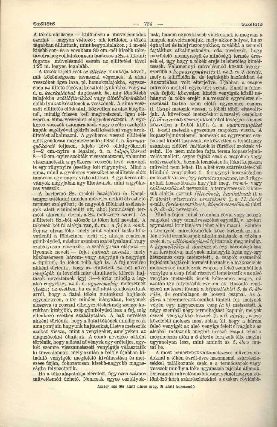 SzöllötS 72* Szőllőtő A tőkék sűrűsége különösen a művelósmódok ezerint nagyon változó; sík területen a tőkék tágabban állhatnak, mint hegyoldalakon; 1 m-nél kisebb sor- és a sorokban 80 em.