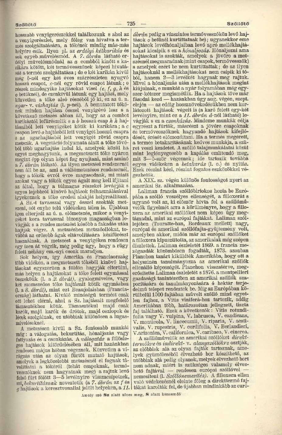 Szőllőtő 725 Szőllötö hosszabb venyigerészekkel találkozunk s ahol az a venyigerészlet, mely főleg van hivatva a termés szolgáltatására, a tőkének mindig más-más helyére esik. Ilyen pl.