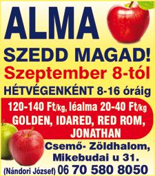 KÖZVETLENÜL AZ ERDÉSZETTŐL!