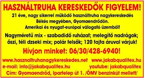 www. dpmsz.
