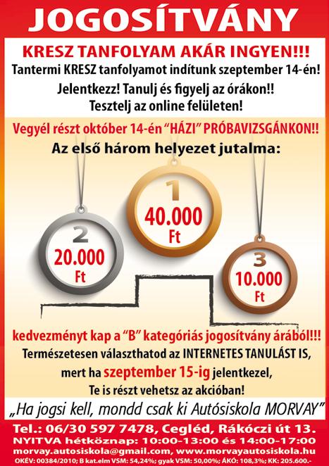 Hétvégén is. +36 20 299 2233; +36 70 287 7851 SZOBAFESTÉST, mázolást, gipszkartonozást, hőszigetelést vállalok. +36 30 479 1287 VESZÉLYES fák kivágása alpintechnológiával.