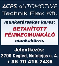 BILLENŐS tehergépkocsira gépkocsivezetőt keresek Ceglédre, megfelelő okmányokkal. Nehézgépkezelői vizsga előny. +36 20 939 0077 FESTŐ segédet keresek heti fizetéssel. Tel.