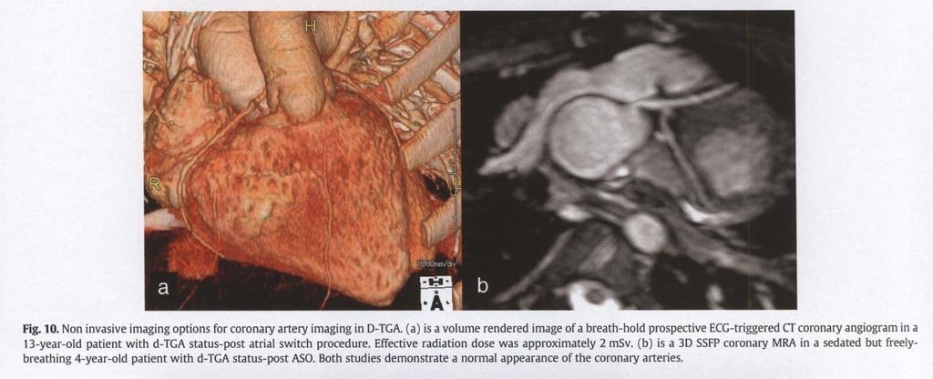 cardiology,