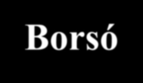 Borsó